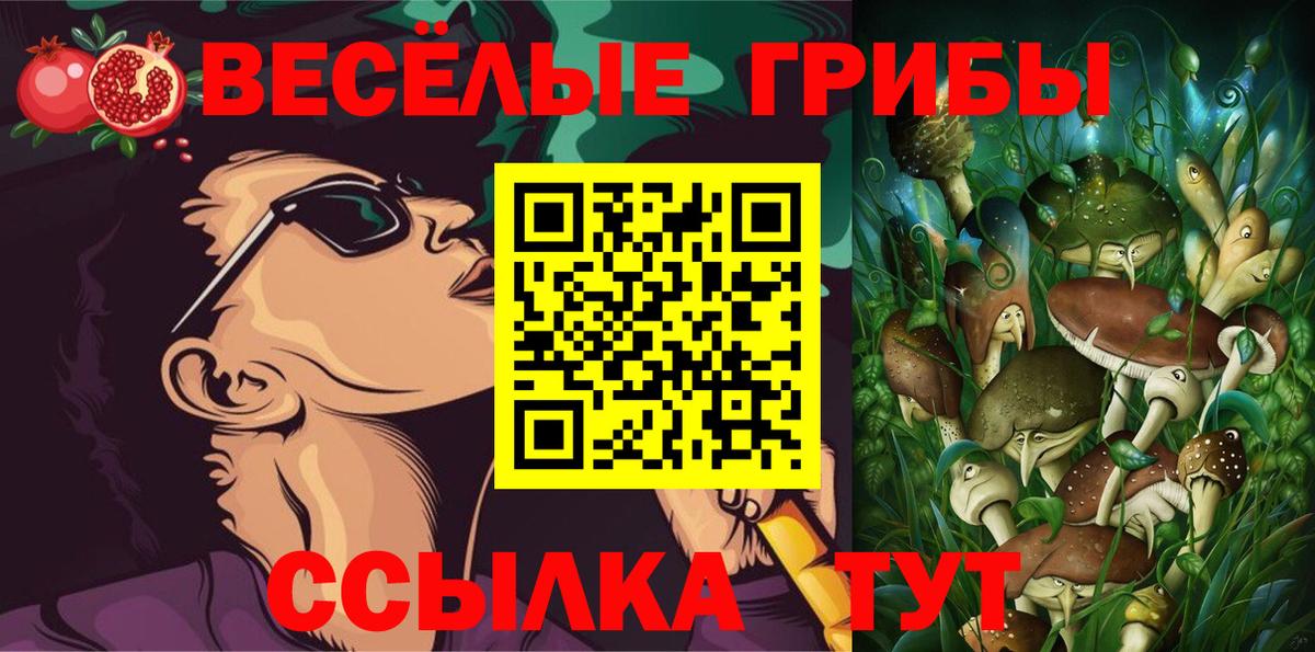 Галлюциногенные грибы MAGIC MUSHROOMS  Вход с VPN  купить закладку  Керчь 